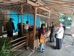 Babinsa Koramil 15 Rejoso Dampingi Petugas Dinas Peternakan Cek Kesehatan Hewan Ternak