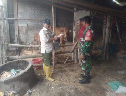 Babinsa Koramil 0810/02 Bagor Dengan Dinas Peternakan Melaksanakan Pendataan Hewan Ternak Milik Warga