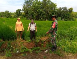 Pastikan Kebutuhan Air Terpenuhi Babinsa Bersama PPL Mengecek Saluran Irigasi Untuk Mendukung Ketahanan Pangan