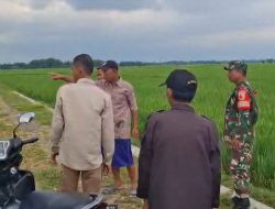 Swasembada Pangan Nasional Jadi Prioritas Utama Babinsa Koramil 0810/10 Tanjunganom