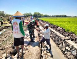 Memperbaiki Sistem Irigasi Babinsa Korami 02 Bagor Laksanakan Kerja Bakti Bersama Warga Binaan