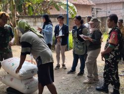Swasembada Pangan || Babinsa Dampingi Penyerapan Gabah Petani Oleh Bulog