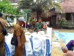 Pendampingan Petani || Salah Satu Bentuk Sinergi Antara TNI Dan Masyarakat Untuk Meningkatkan Produktivitas Sektor Pertanian
