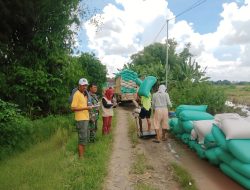 Babinsa Koramil 0810/15 Rejoso Kawal Pembelian Gabah Langsung Dari Petani oleh Bulog Kancab Kediri
