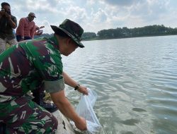 Tebar Benih Ikan Satgas TMMD Ke – 124 Kodim 0810/Nganjuk Gandeng DKPP Kab. Nganjuk