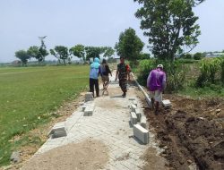 Babinsa Tanjunganom Bersama Warga Gotong Royong Pasang Paving Jalan di Desa Getas