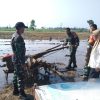 Sinergi TNI dan PPL Tingkatkan Kapasitas Petani di Wilayah Kecamatan Ngronggot