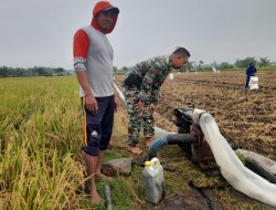 Babinsa Laksanakan Pendampingan Petani dalam Pengairan Sawah dengan Pompa