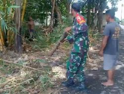 Babinsa Koramil 0810/03 Loceret Laksanakan Kerja Bakti Bersihkan Ranting dan Pohon di Jatirejo