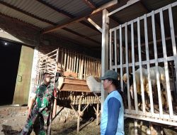 Babinsa Koramil 0810/04 Berbek Beri Motivasi Sambangi Peternak Kambing di Desa Binaan