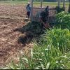 Babinsa Bantu Warga Tanam Jagung Tingkatkan Ketahanan Pangan Di Wilayah