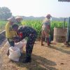 Babinsa Sonopatik Koramil 0810/04 Berbek Bantu Jemur Padi Di Wilayah Binaan