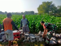 Koramil 0810/04 Berbek Bersama Warga Bangun Tanggul Penahan Jalan di Persawahan Bendungrejo