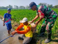 Babinsa Tanjunganom Dampingi Petani Berantas Gulma Padi, Wujudkan Swasembada Pangan