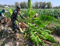 Kegiatan Kerja Bakti Pembersihan Saluran Air di Kelurahan Kartoharjo Koramil 0810/01 Nganjuk
