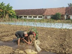 Babinsa Dampingi Petani Lakukan Pengairan Tanaman Jagung di Desa Pandantoyo