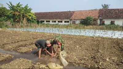 Babinsa Dampingi Petani Lakukan Pengairan Tanaman Jagung di Desa Pandantoyo