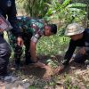 Dandim 0810/Nganjuk Verifikasi Lokasi Calon Cagar Budaya dan Tanaman Langka Kemenyan Putih di Rejoso