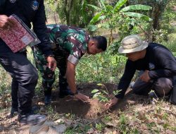 Dandim 0810/Nganjuk Verifikasi Lokasi Calon Cagar Budaya dan Tanaman Langka Kemenyan Putih di Rejoso