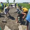 Babinsa Desa Sukorejo Bantu Proses Pengecoran Jalan di Area Persawahan Wilayah Binaan