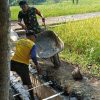 Babinsa Koramil 0810/04 Berbek Kerja Bakti Bersama Pertani Pembuatan Irigasi Sawah di Desa Binaan