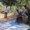 Babinsa Dampingi Pelatihan Pembuatan Pakan Ternak Metode Silase di Desa Getas
