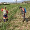 Babinsa Koramil 0810/04 Berbek Bantu Petani Semprot Hama Tanaman Jagung Di Wilayah