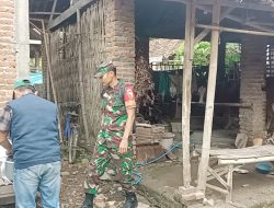 Babinsa Koramil 0810/03 Loceret Dampingi Vaksinasi PMK di Desa Gejakan