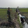 Babinsa Desa Mlorah Gotong Royong Bersama Warga Bersihkan Saluran Irigasi Persawahan di Wilayah Binaan