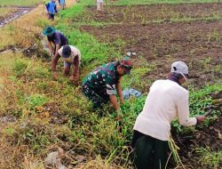 Babinsa Koramil 0810/18 Ngetos Laksanakan Kerja Bakti Bersihkan Saluran Irigasi di Desa Mojo Duwur