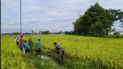 Babinsa Nglundo dan Warga Gotong Royong Bersihkan Saluran Irigasi