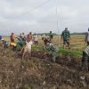 Anggota Koramil 0810/15 Rejoso Melaksanakan Gerakan Pembersihan Saluran Irigasi Tersier bersama Kelompok Tani Rukun Martani Desa Talang