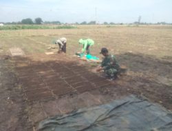Babinsa Tanjunganom Dampingi Petani Lakukan Penyemaian Benih Padi