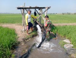 Babinsa Desa Sanggrahan Bantu Pompanisasi Sawah Petani