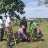Babinsa Desa Sambikerep Bersama MWC NU Kecamatan Rejoso Laksanakan Penghijauan di Area Bendungan Semantok