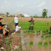 Babinsa Desa Blitaran Berikan Semangat dan Motivasi kepada Petani dalam Persiapan Bibit Padi
