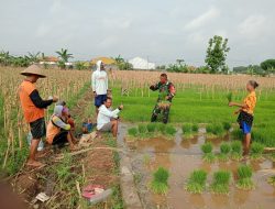 Babinsa Desa Blitaran Berikan Semangat dan Motivasi kepada Petani dalam Persiapan Bibit Padi