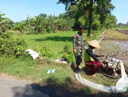 DUKUNG KETAHANAN PANGAN, BABINSA JALIN KOMSOS DENGAN PETANI