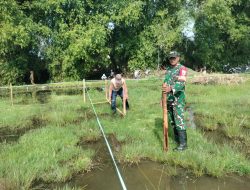 Babinsa Koramil 0810/15 Rejoso Dampingi Pemasangan Boplang Pembangunan Koperasi Desa Kelurahan Merah Putih (KDKMP) Tahap IV di Wilayah Binaan