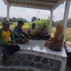 Babinsa Tanjungtani Bersama PPL Laksanakan Komsos dengan Petani