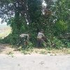Babinsa Koramil 0810/10 Tanjunganom Bantu Amankan Penebangan Pohon di Desa Sonobekel