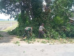 Babinsa Koramil 0810/10 Tanjunganom Bantu Amankan Penebangan Pohon di Desa Sonobekel