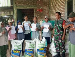 BABINSA MELAKSANAKAN PENDAMPINGAN PEMBAGIAN PUPUK DAN BENIH PADI DI DESA BALONGREJO
