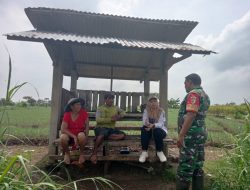 Babinsa Desa Mojoduwur Laksanakan Komsos Bersama Petani untuk Tingkatkan Ketahanan Pangan