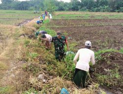 Babinsa Desa Mojo Duwur Melaksanakan Kerja Bakti Bersama Warga