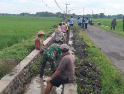Kodim 0810/Nganjuk Gelar Karya Bakti Bersihkan Saluran Irigasi di Desa Kedungglugu