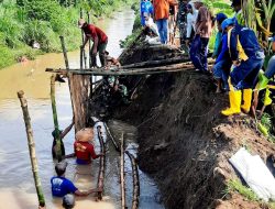 KARYA BAKTI TNI & WARGA PERBAIKI TANGGUL SUNGAI BUNTUNG DI PRAMBON