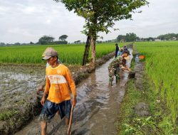 BABINSA BERSAMA WARGA BERSIHKAN SALURAN IRIGASI