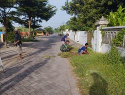 Babinsa Koramil 0810/08 Baron bersama warga gotong royong Membersihkan rumput liar