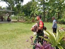 BABINSA MEMBERIKAN PROGRAM SATUAN PENDIDIKAN AMAN BENCANA SEJAK DINI DIWILAYAH BINAANYA